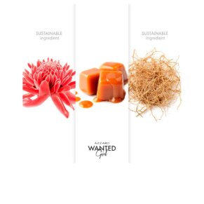 Dầu thơm Azzaro WANTED GIRL Eau de Parfum (Nữ)