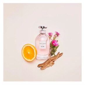 Coach Coach Dreams Eau de Parfum Spray 90 ml 3386460109567