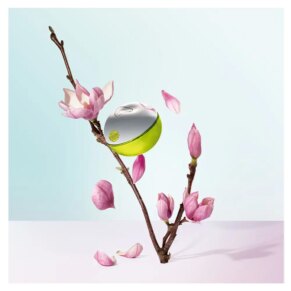 Nước hoa BE DELICIOUS Eau de Parfum for woman