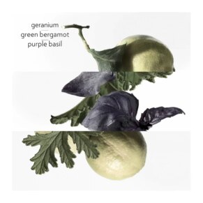 Nước hoa EAU DE BASILIQUE POURPRE Eau de Cologne for woman