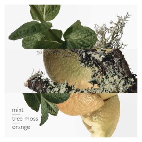 Nước hoa EAU D’ORANGE VERTE Eau de Cologne unisex