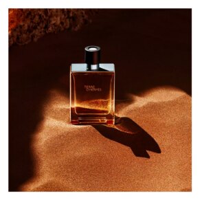 Dầu thơm HERMÈS TERRE D'HERMÈS Eau de Toilette (Nam)