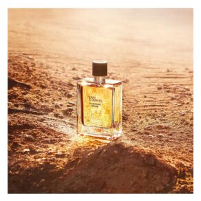 Terre D'Hermès Eau Intense Vétiver Eau de Parfum Spray 200 ml chính hãng Hermès 3346131431625