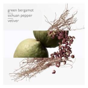 Hermès Terre D'Hermès Eau Intense Vétiver Eau de Parfum Spray 200 ml 3346131431625