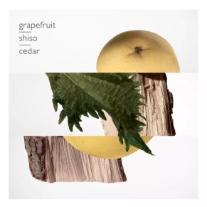 Nước hoa TERRE D’HERMÈS Eau de Parfum for man