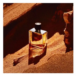 Dầu thơm HERMÈS TERRE D'HERMÈS Eau de Parfum (Nam)