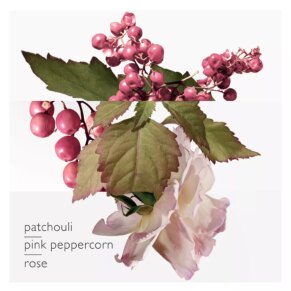 Nước hoa TWILLY D’HERMÈS eau poivrée Eau de Parfum for woman