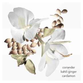 Nước hoa UN JARDIN APRES LA MOUSSON Eau de Toilette unisex