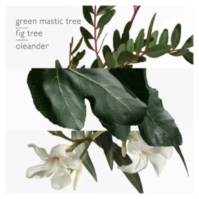 Nước hoa UN JARDIN EN MEDITERRANEE Eau de Toilette unisex