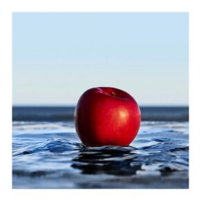 Nước hoa BOSS BOTTLED INFINITE Eau de Parfum for man