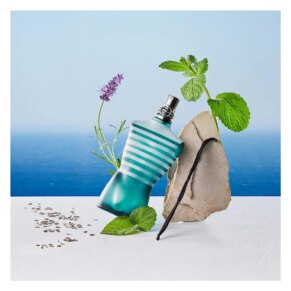 Jean Paul Gaultier Le Male Eau de Toilette Spray 40 ml 8435415012607