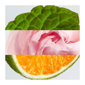 Dầu thơm Lacoste EAU DE LACOSTE L.12.12 ROSE POUR ELLE Eau de Parfum (Nữ)