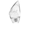 100 ml