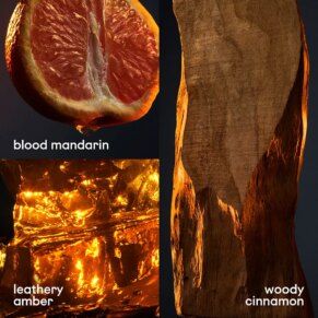 Paco Rabanne 1 Million Eau de Toilette Spray 50 ml 3349666007891