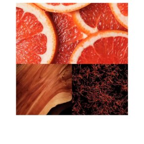 Nước hoa POLO RED Eau de Toilette for man