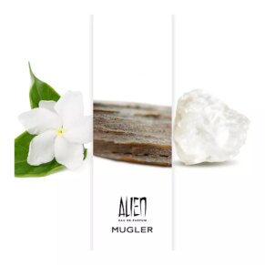 Nước hoa ALIEN Eau de Parfum for woman
