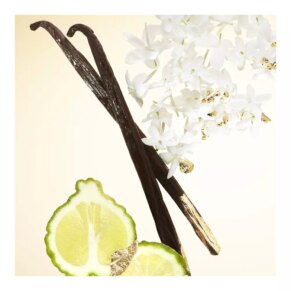 ALIEN GODDESS Eau de Parfum (Nữ) 10 Dầu thơm Thierry Mugler ALIEN GODDESS Eau de Parfum (Nữ)