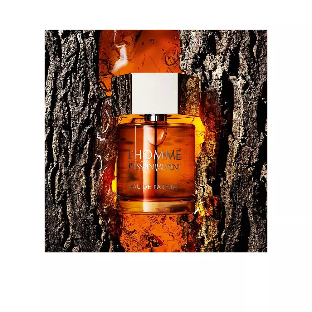L'HOMME Fragrance (Nam) 3 Nước hoa L’HOMME Fragrance for man