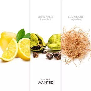 Wanted Homme Eau de Toilette Spray 50 ml chính hãng Azzaro 3351500016600