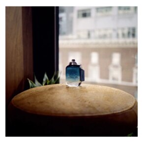 Coach Coach Blue Eau de Toilette Spray 100 ml 3386460113724