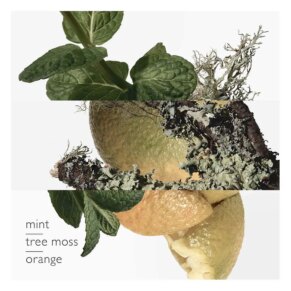 Eau D'Orange Verte Edc Spray 50 ml chính hãng Hermès 3346130493716