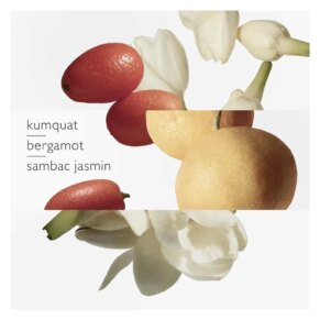 Le Jardin De Monsieur Li Eau de Toilette Spray 50 ml chính hãng Hermès 3346132600044