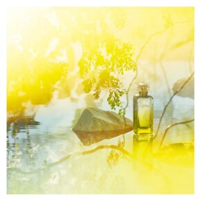 Hermès Le Jardin De Monsieur Li Eau de Toilette Spray 50 ml 3346132600044