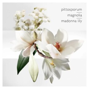 Hermès Un Jardin Sur La Lagune Eau de Toilette Spray 100 ml 3346133600050