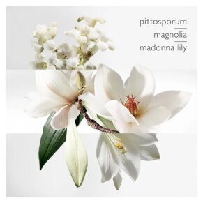 Hermès Un Jardin Sur La Lagune Eau de Toilette Spray 50 ml 3346133600043