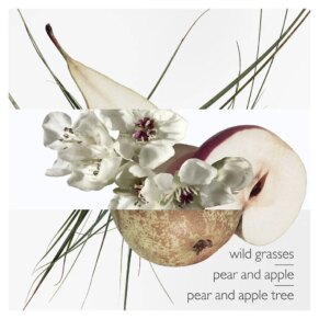 Un Jardin Sur Le Toit Eau de Toilette Spray 30 ml chính hãng Hermès 3346132400705