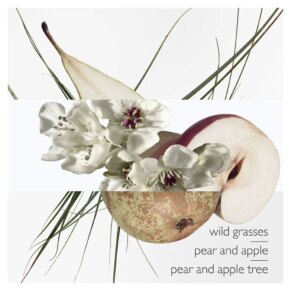 Un Jardin Sur Le Toit Eau de Toilette Spray 50 ml chính hãng Hermès 3346132400033