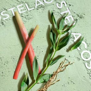 Lacoste Match Point Cologne Eau de Toilette Spray 50 ml 3616303429560