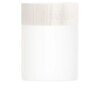 100 ml